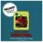 Edel Music & Entertainment CD / DVD Audio-Token Der kleine Drache Kokosnuss und der Schatz im Dschungel