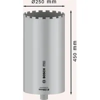 Bosch Accessories 2608601801 2608601801 Lochsäge 250 mm 1 St.