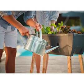 Gusta Garden Hochbeet Sammy Salad 40 L anthrazit