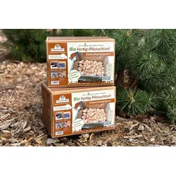Bio-Steinchampignon-Pilzzucht-Set, 2 Boxen im Set, braun + braun
