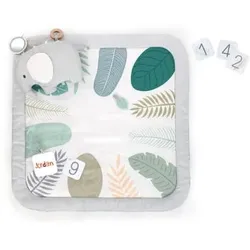 Ingenuity Sprout SpotTM Baby Milestone Aktivitätsmatte