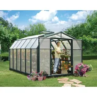 CANOPIA Gewächshaus Hobby Gardener 8x12 PVC Grün 266x391cm