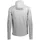 Scott Defined Kapuzenpullover - light grey - L