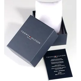 Tommy Hilfiger Daniel Edelstahl 46 mm 1710382
