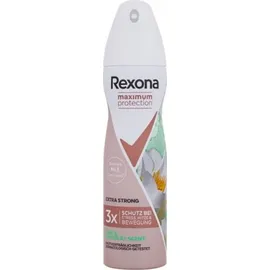 Rexona Maximum Protection Lime & Waterlily Scent Anti Transpiran...