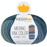 Regia Premium Merino Yak Color, 100G meadow gradient color Handstrickgarne