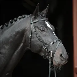 Covalliero Trensenzaum Standard Leder für Shetty Schwarz