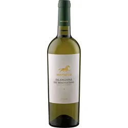 Falanghina Indomito 2023 - 6Fl. á 0.75l