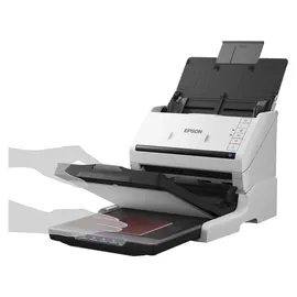 Epson WorkForce DS-530II
