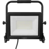 Ansmann FL100W-AC 100 W