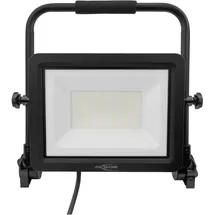 Ansmann FL100W-AC 100 W