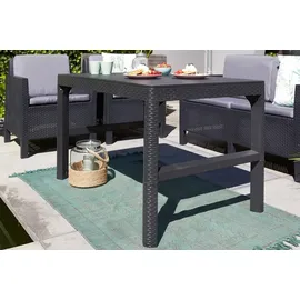 Kadax Lyon 116 x 71,5 cm braun