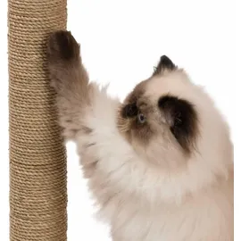 VESPER V-Box large 50 x 40 x 78 cm walnuss