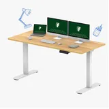 FLEXISPOT Schreibtisch Sitz-Steh-Tisch mit Memory-Funktionen (Dual-Motor & 2-FACH-TELESKOP), Elektrisch höhenverstellbarer Schreibtisch 160 cm x 70 cm