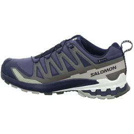 Salomon XA Pro 3D V9 GTX Herren India Ink/Olive Night/Aloe Wash 46