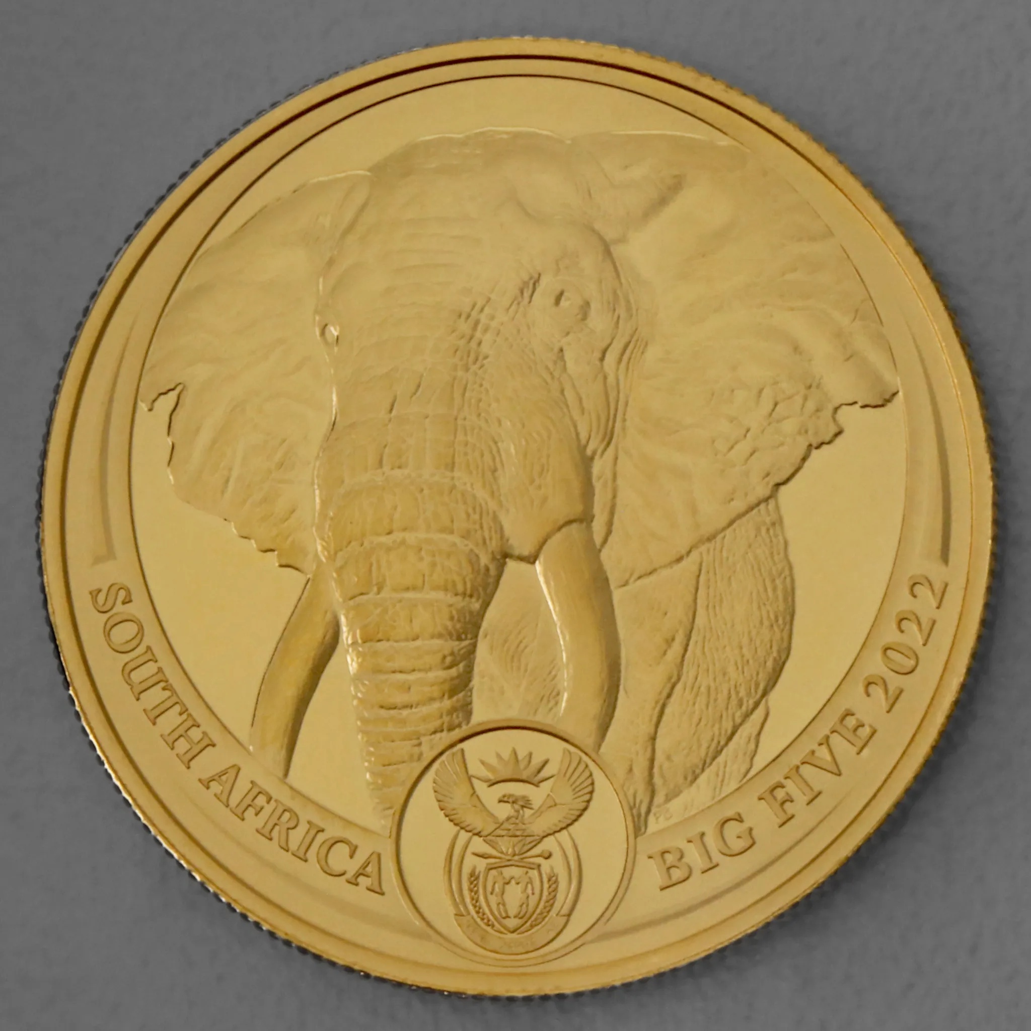 Goldmünze 1oz Elefant 2022 - Big Five II South Africa Big Five Series II