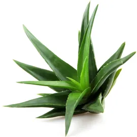 QueenRoyal Aloe Vera Trinkgel 2 Liter