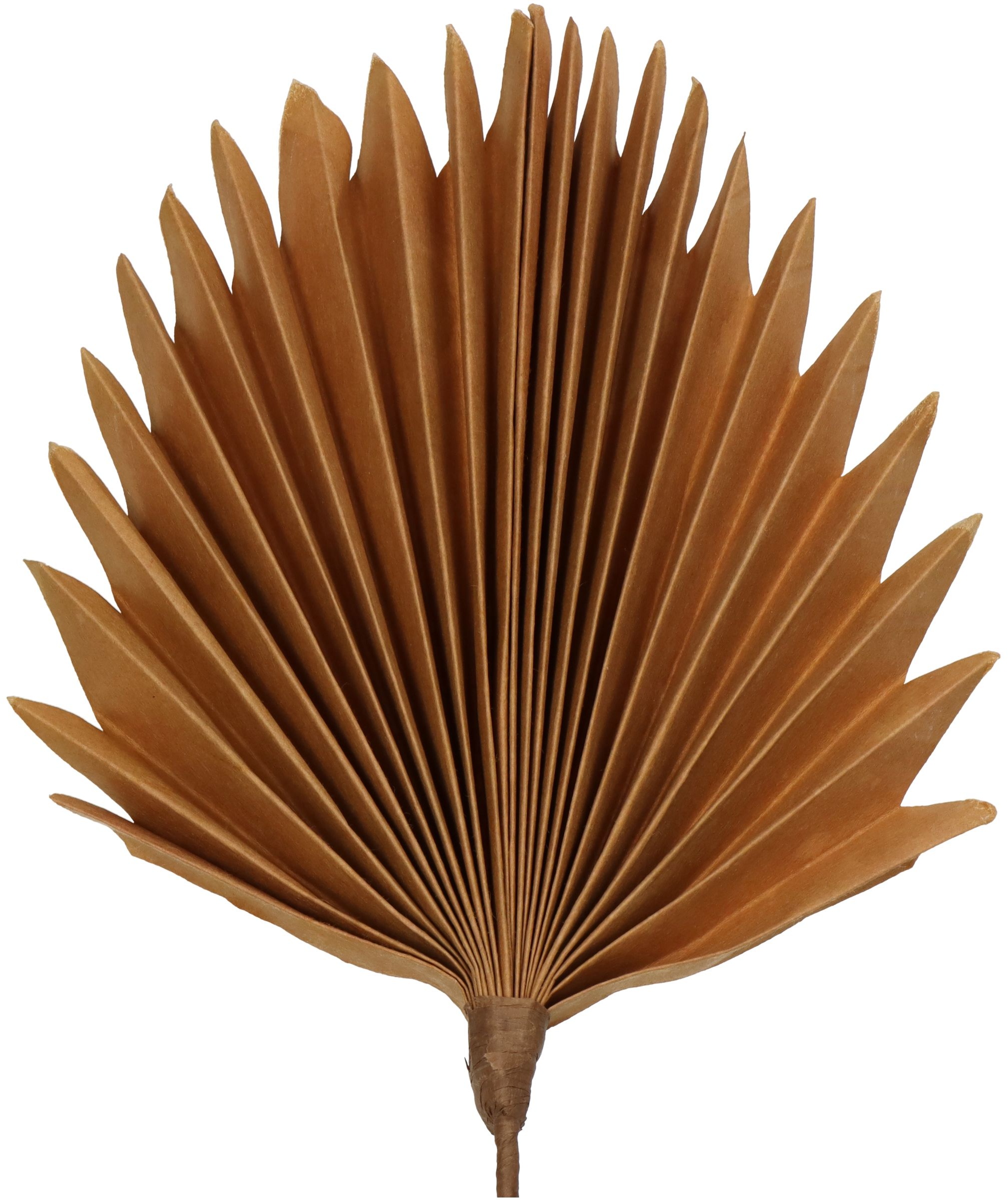 Kunstzweig LEAF beige (H 55 cm)