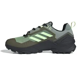 Adidas Terrex Swift R3 GTX Herren silver green/green spark/olive strata 42 2/3