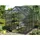Vitavia Apollo 5000 anthrazit HKP 4 mm 5,0 m² inkl. 100 Euro Zubehör
