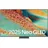 QE55QN85F 55" Neo QLED 4K Vision AI Smart TV QN85F (EU-Modell)