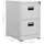 vidaXL Aktenschrank 46x62x72,5 cm Hellgrau