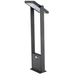 EVN Lichttechnik Solar-LED-Wegeleuchte PLS541502