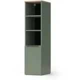Vicco Wido Aktenschrank 30,2 x 120 x 40 cm Grün/Sonoma