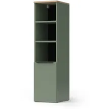 Vicco Wido Aktenschrank 30,2 x 120 x 40 cm Grün/Sonoma