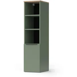 Vicco Wido Aktenschrank 30,2 x 120 x 40 cm Grün/Sonoma