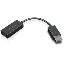 Lenovo DisplayPort-Adapter 0,23 m Schwarz