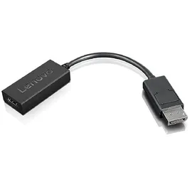 Lenovo DisplayPort-Adapter 0,23 m Schwarz