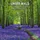 tushita paperart gmbh Unser Wald / Forest Nature 2027