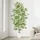 YOLEO Kunstpflanze Bambus 180cm, Künstliche Pfanzen Groß, realistischer Bambusbaum, mit weißem Topf, Kunstbaum, Fake Pflanze für Wohnzimmer, Büro, Garten, Indoor Dekor, Housewarming Geschenk