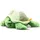 Steiff Soft Cuddly Friends Tuggy Schildkröte
