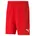 Puma teamRISE Short