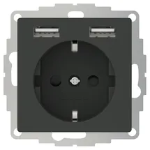 2USB USB-Steckdose 12 W Anthrazit