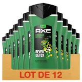 Axe - Duschgel für Herren, 5-in-1, Lendemain Schwierig, 24 Stunden, feuchtigkeitsspendend, 87% Inhaltsstoffe natürlichen Ursprungs, Zitrusduft (12 x 250 ml)