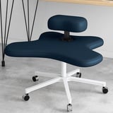 Kniestuhl, Ergonomischer Sitz, Fünfzackig mit Rollen, Höhenverstellbarer Hocker Zur Haltungsverbesserung und korrektur, Geeignet für Den Einsatz im Home Office, Mehrfarbige Ausführung ( Color : Dark b