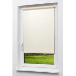 Lysel Outlet - Mini Rollo Tageslicht Vanille (B x H) 143cm x 175cm