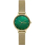 Skagen Watch SKW3145