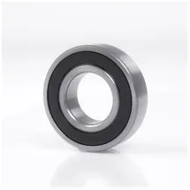 INA SCHKG 3006 -2RS ID 30mm AD 55mm Breite19mm