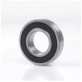INA SCHKG 3006 -2RS ID 30mm AD 55mm Breite19mm
