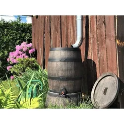 Wassertank Fass ROTO 50 l