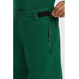 O'Neill Fwc'cruz Snow Pants emerald envy (16056) 128