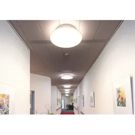 dotlux LED-Wechselmodul 6207-030170