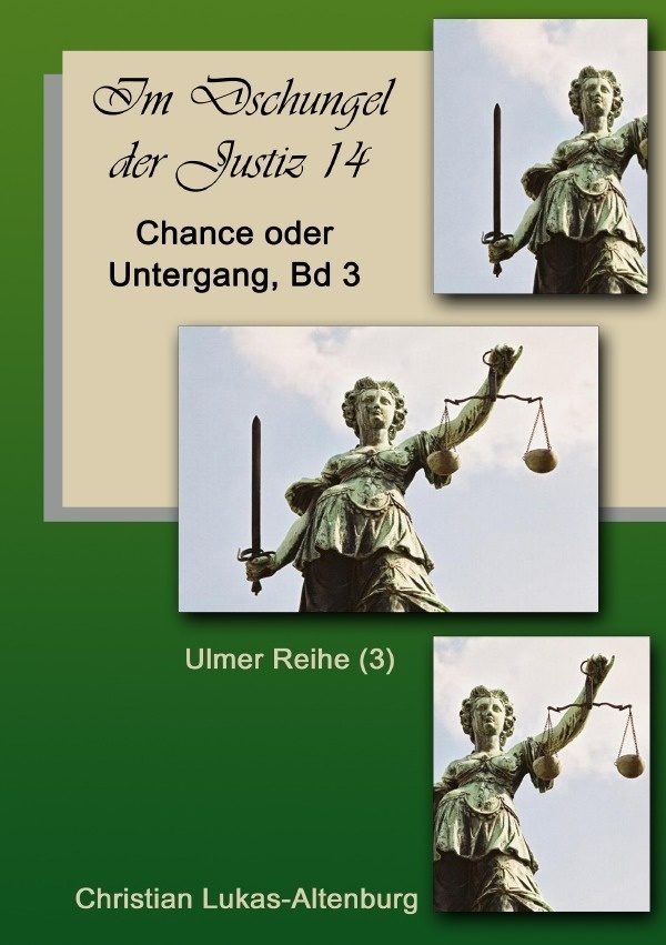 Im Dschungel Der Justiz Ulmer Reihe / Im Dschungel Der Justiz Chance Oder Untergang Bd.3 - Christian Lukas-Altenburg  Kartoniert (TB)