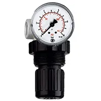 Riegler Druckbegrenzungsventil, inkl. Manometer, G 1/4, 0,15 - 7,0