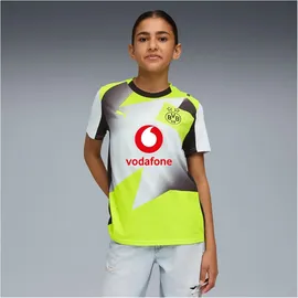 Puma BVB Away Jersey Replica Jr with Sponsor grau - 152