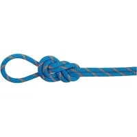 Mammut 8.0 Alpine Dry Halbseil Blau/Orange